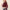 Absqura Solid Women Maroon Crop Hoodies