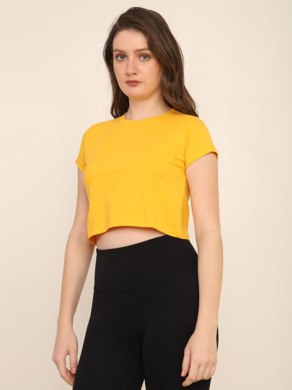 Absqura Solid Women Golden Yellow Crop Top