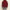 Absqura Hooded Maroon Sweatshirt