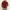 Absqura Hooded Maroon Sweatshirt