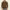 Absqura Hooded Olive Green Sweatshirt