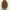 Absqura Hooded Olive Green Sweatshirt