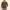 Absqura Hooded Olive Green Sweatshirt