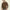 Absqura Hooded Olive Green Sweatshirt