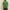 Absqura Men Acid Wash Solid Oversized Bottle Green T-Shirt