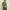 Absqura Men Acid Wash Solid Oversized Bottle Green T-Shirt