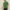 Absqura Men Acid Wash Solid Oversized Bottle Green T-Shirt