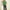 Absqura Men Acid Wash Solid Oversized Bottle Green T-Shirt