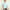 Absqura Solid Men Baby Blue T-Shirt