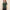 Absqura Solid Women Bottle Green T-Shirt