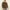 Absqura Solid Sweatshirt Olive Green